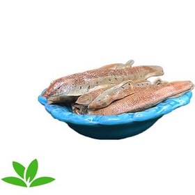 تصویر ماهی سمنغور ۵۰ گرم 