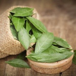 تصویر برگ بو ممتاز کوه دانه 