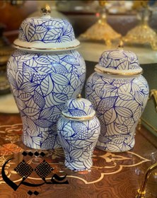 تصویر جینجر جار 