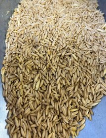 تصویر جو دوسر یک کیلویی 