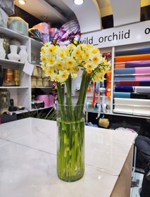 تصویر گل نرگس - زیاد 