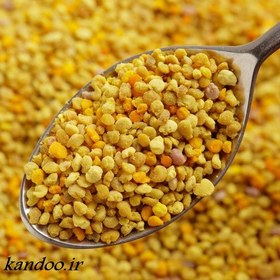 تصویر گرده گل 