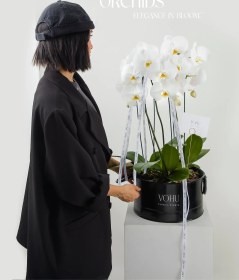 تصویر گیاه 3 شاخه ارکیده سفید 