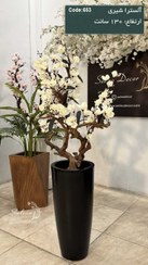 تصویر درختچه مصنوعی آلسترا شیری 130سانت با تنه چوب خاص 