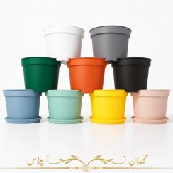 تصویر گلدان پلاستیکی پاچیرا رنگی 