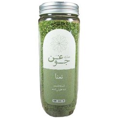 تصویر نعنا خشک جوغن وزن 120 گرم 