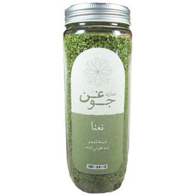 تصویر نعنا خشک جوغن وزن 120 گرم 