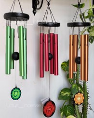 تصویر بادزنگ امریکایی 4 نت شناسنامه دار 