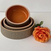 تصویر ست سه تیکه ظروف پذیرایی طرح اکالیپتوس 