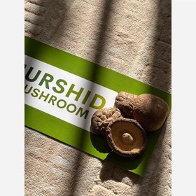 تصویر قارچ خشک شیتاکه 200 گرمی 