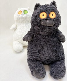 تصویر پولیشی گربه خپل 