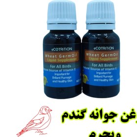 تصویر ویجرم روغن جوانه گندم اکوتریتیون آمریکایی ecotrition