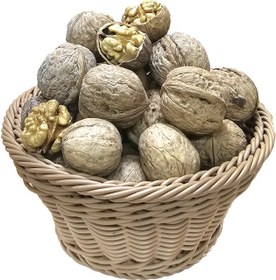 تصویر گردو امسال یک کیلویی 