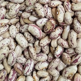 تصویر لوبیا چیتی 