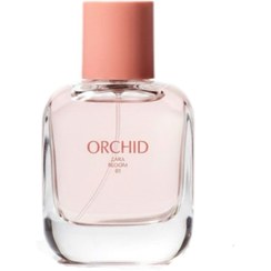 تصویر ادکلن زارا ارکید( Zara Orchid) 100 میل 