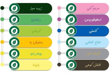 تصویر دمنوش رنگین کمان ۱۲ عددی نیوشا ( دمنوش های خالص) 