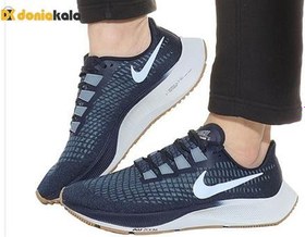 Nike zoom pegasus on sale original