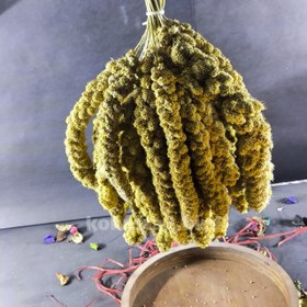 تصویر اَرزن خوشه ای 