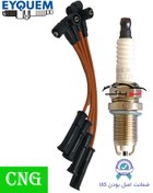 تصویر شمع اکیوم دو پلاتین RFC42LZ2E-A5 پک ویژه افزایش شتاب و قدرت 