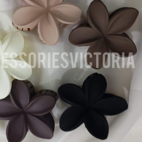 تصویر پلومریا مات 