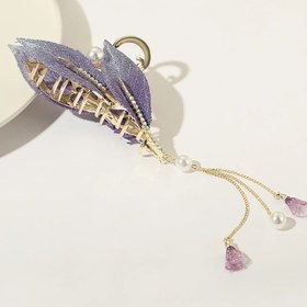 تصویر کلیپس پر Feather clip