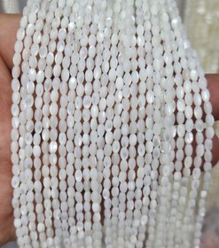 تصویر ریسه صدفی مدل بیضی 