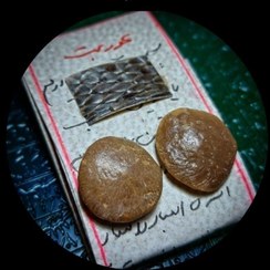 تصویر نطفه مار افعی 