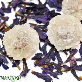 تصویر نبات گل گاوزبان 