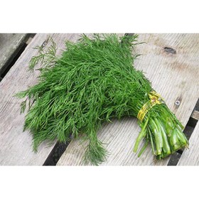 تصویر عرق شوید 1 لیتری گلاب طوبی 