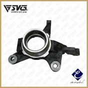 تصویر سگدست راست تیبا ، ریو طرح قدیم عظام 