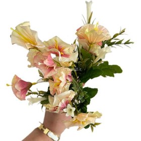 تصویر گل اطلسی 