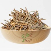 تصویر شیطرج 