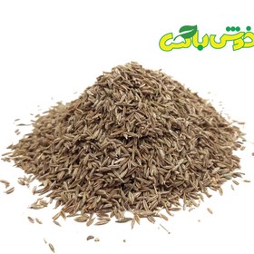 تصویر زیره سبز 