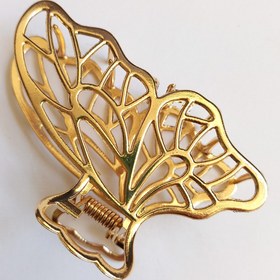 تصویر کلیپس مو 