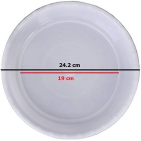 تصویر زیرگلدانی مدل p9 - 24.2 cm (19) 