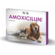 تصویر قرص آموکسی سیلین ۵۰ میلی گرم 