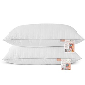 Utopia Bedding Bed Pillows (2-Pack) - Premium Plush Pillows for Sleeping -  Queen Size 20 x 28 Inches - Cotton Pillows for Side, Stomach and Back  Sleeper 2 