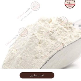 تصویر ثعلب سانروز 