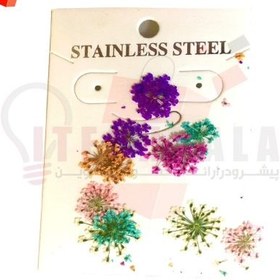 تصویر گل خشک مینیاتوری 