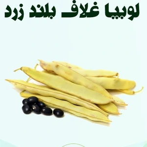 تصویر فروشگاه باغبان ارگانیک