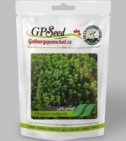 تصویر بذر آویشن باغی 