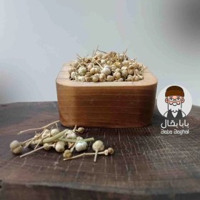 تصویر اسپند نخودی 