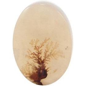 تصویر سنگ شجر کد 3038 