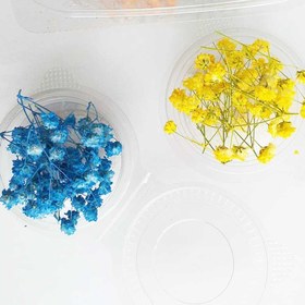 تصویر گل خشک ژیپسوفیلا بسته 40 عددی 