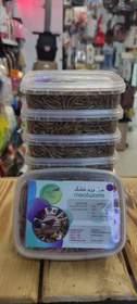 تصویر میل ورم خشک (Meal worm) 