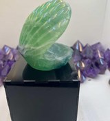 تصویر صدف فلوریت سبز 