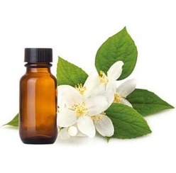 تصویر گل یاس 