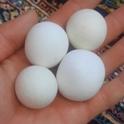 تصویر سنگ اسیاب الماس سختی 10 