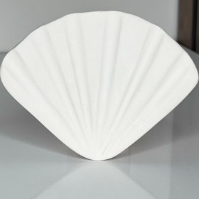 تصویر صدف تخت 