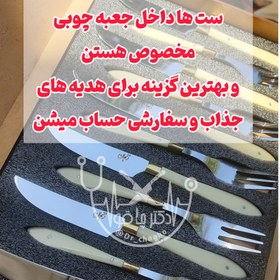 تصویر ست سفارشی کارد و چنگال میوه خوری اصل زنجان با جعبه چوبی مخصوص دکترچاقو 